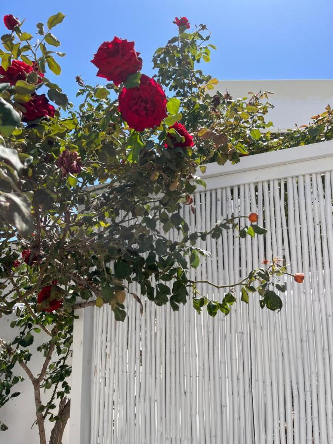 Aleria Central Apartments Naxos City Экстерьер фото